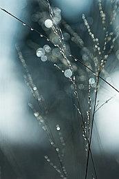 心灵恐怖系新游 《贮水槽》即将steam发售